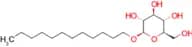 Dodecyl b-D-glucopyranoside
