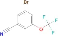 3-Bromo-5-(trifluoromethoxy)benzonitrile