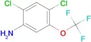 2,4-Dichloro-5-(trifluoromethoxy)aniline
