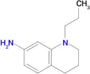 1-Propyl-1,2,3,4-tetrahydroquinolin-7-amine
