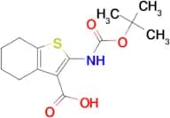 2-((tert-Butoxycarbonyl)amino)-4,5,6,7-tetrahydrobenzo[b]thiophene-3-carboxylic acid