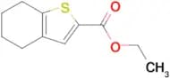 Ethyl 4,5,6,7-tetrahydrobenzo[b]thiophene-2-carboxylate