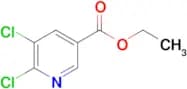Ethyl 5,6-dichloronicotinate