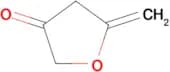 5-Methylfuran-3(2H)-one