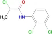 N-(2,3-Dichlorophenyl)-2-chloropropanamide, 95%