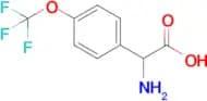 4-(Trifluoromethoxy)-DL-phenylglycine
