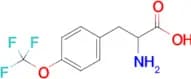 4-(Trifluoromethoxy)-DL-phenylalanine