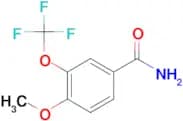 4-Methoxy-3-(trifluoromethoxy)benzamide