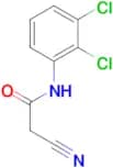 2-Cyano-N-(2,3-dichloro-phenyl)-acetamide
