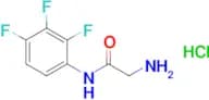 2-amino-N-(2,3,4-trifluorophenyl)acetamide hydrochloride