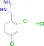 (2,4-dichlorobenzyl)hydrazine hydrochloride