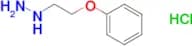1-(2-phenoxyethyl)hydrazine hydrochloride