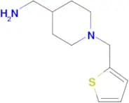 [1-(Thiophen-2-ylmethyl)piperidin-4-yl]methanamine