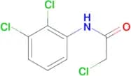 2-Chloro-N-(2,3-dichloro-phenyl)-acetamide