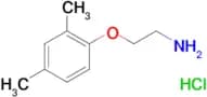 [2-(2,4-dimethylphenoxy)ethyl]amine hydrochloride