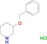 3-(benzyloxy)piperidine hydrochloride