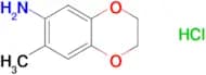 (7-methyl-2,3-dihydro-1,4-benzodioxin-6-yl)amine hydrochloride