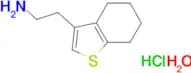 [2-(4,5,6,7-tetrahydro-1-benzothien-3-yl)ethyl]amine hydrochloride hydrate