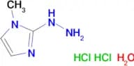 2-hydrazino-1-methyl-1H-imidazole dihydrochloride hydrate