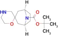 tert-butyl rac-(1R,3r,5S)-8H-spiro[8-azabicyclo[3.2.1]octane-3,2′-[1,4]oxazinane]-8-carboxylate
