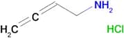 2,3-butadien-1-amine hydrochloride