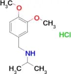 N-(3,4-dimethoxybenzyl)-2-propanamine hydrochloride