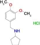 N-(3,4-dimethoxybenzyl)cyclopentanamine hydrochloride