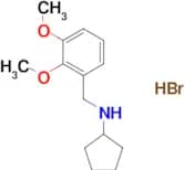 N-(2,3-dimethoxybenzyl)cyclopentanamine hydrobromide