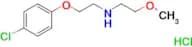[2-(4-chlorophenoxy)ethyl](2-methoxyethyl)amine hydrochloride