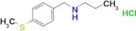 N-[4-(methylthio)benzyl]-1-propanamine hydrochloride