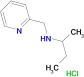N-(2-pyridinylmethyl)-2-butanamine hydrochloride