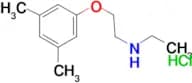 [2-(3,5-dimethylphenoxy)ethyl]ethylamine hydrochloride