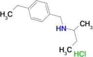 N-(4-ethylbenzyl)-2-butanamine hydrochloride