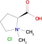 Stachydrine hydrochloride