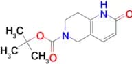 tert-Butyl 2-oxo-1,2,7,8-tetrahydro-1,6-naphthyridine-6(5H)-carboxylate