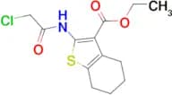 ethyl 2-[(chloroacetyl)amino]-4,5,6,7-tetrahydro-1-benzothiophene-3-carboxylate