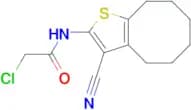 2-chloro-N-(3-cyano-4,5,6,7,8,9-hexahydrocycloocta[b]thien-2-yl)acetamide