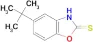 5-tert-butyl-1,3-benzoxazole-2-thiol