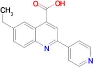 6-ethyl-2-pyridin-4-ylquinoline-4-carboxylic acid