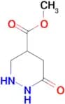 methyl 6-oxohexahydropyridazine-4-carboxylate
