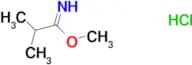 Methyl 2-methylpropanimidoate hydrochloride