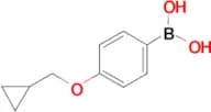(4-(Cyclopropylmethoxy)phenyl)boronic acid
