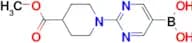 (2-(4-(Methoxycarbonyl)piperidin-1-yl)pyrimidin-5-yl)boronic acid