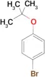 1-bromo-4-tert-butoxybenzene