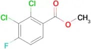 METHYL 2,3-DICHLORO-4-FLUOROBENZOATE