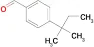 4-(TERT-PENTYL)BENZALDEHYDE