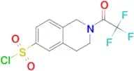 2-(2,2,2-TRIFLUOROACETYL)-1,2,3,4-TETRAHYDROISOQUINOLINE-6-SULFONYL CHLORIDE