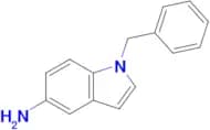 1-BENZYL-1H-INDOL-5-YLAMINE