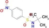 N-TERT-BUTYL 4-NITROPHENYLSULFONAMIDE