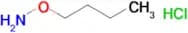 O-BUTYLHYDROXYLAMINE HCL